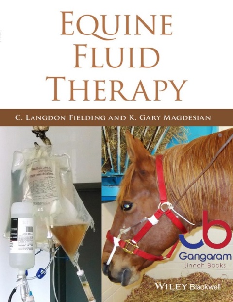 Equine Fluid Therapy 1st Edition