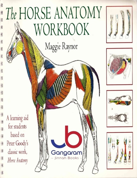 Horse Anatomy Workbook A Learning Aid for Students Based on Peter Goody's Classic Work, Horse Anatomy