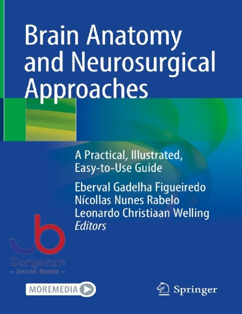 Brain Anatomy and Neurosurgical Approaches A Practical, Illustrated, Easy-to-Use Guide