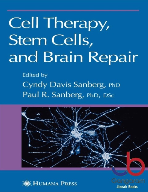 Cell Therapy, Stem Cells and Brain Repair (Contemporary Neuroscience)